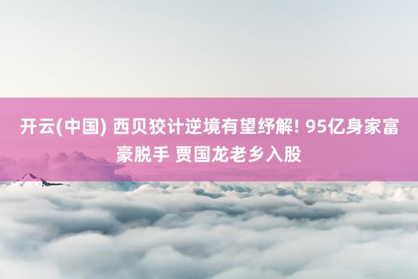 开云(中国) 西贝狡计逆境有望纾解! 95亿身家富豪脱手 贾国龙老乡入股