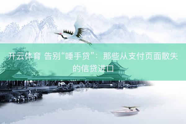 开云体育 告别“唾手贷”：那些从支付页面散失的信贷进口