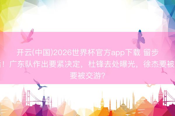 开云(中国)2026世界杯官方app下载 留步8强后！广东队作出要紧决定，杜锋去处曝光，徐杰要被交游？