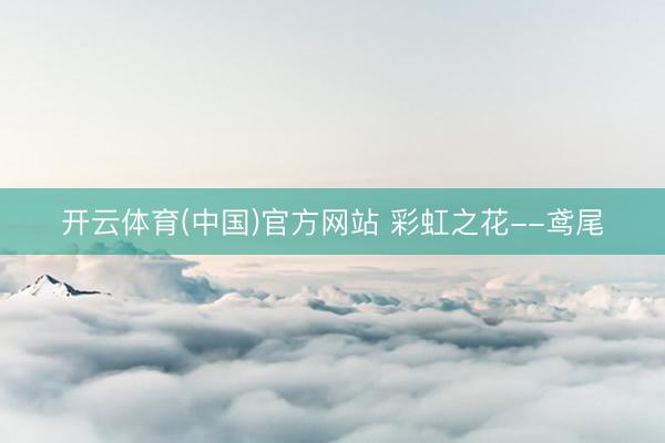 开云体育(中国)官方网站 彩虹之花--鸢尾