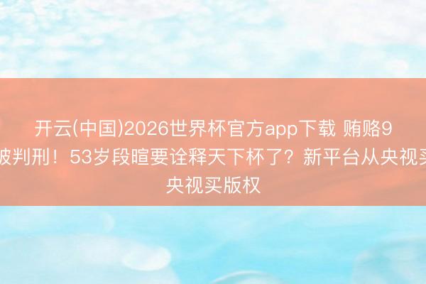 开云(中国)2026世界杯官方app下载 贿赂950万被判刑！53岁段暄要诠释天下杯了？新平台从央视买版权