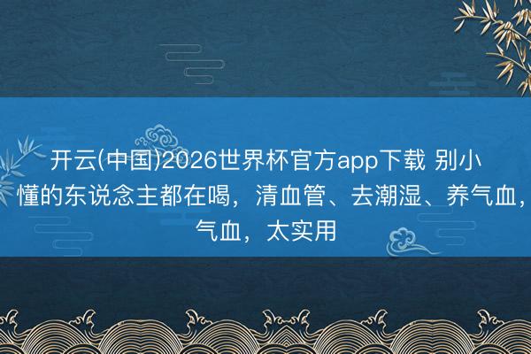 开云(中国)2026世界杯官方app下载 别小看葛根，懂的东说念主都在喝，清血管、去潮湿、养气血，太实用