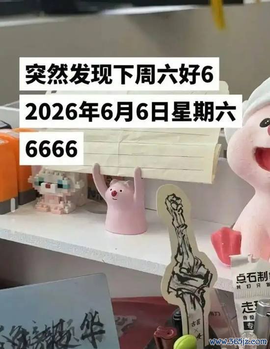 年度最6星期六
