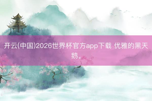 开云(中国)2026世界杯官方app下载 优雅的黑天鹅<a href=