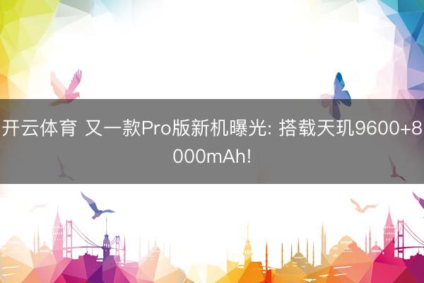 开云体育 又一款Pro版新机曝光: 搭载天玑9600+8000mAh!